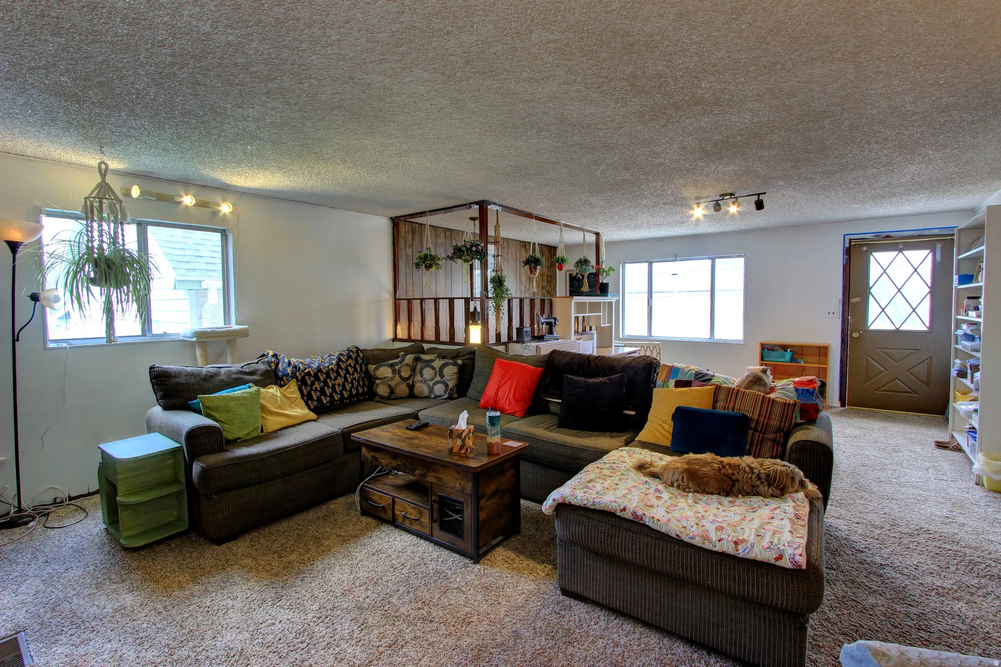 Carpeted living area featuring multiple windows providing natural light, track lighting fixtures, and a half-wall partition with wood railing
