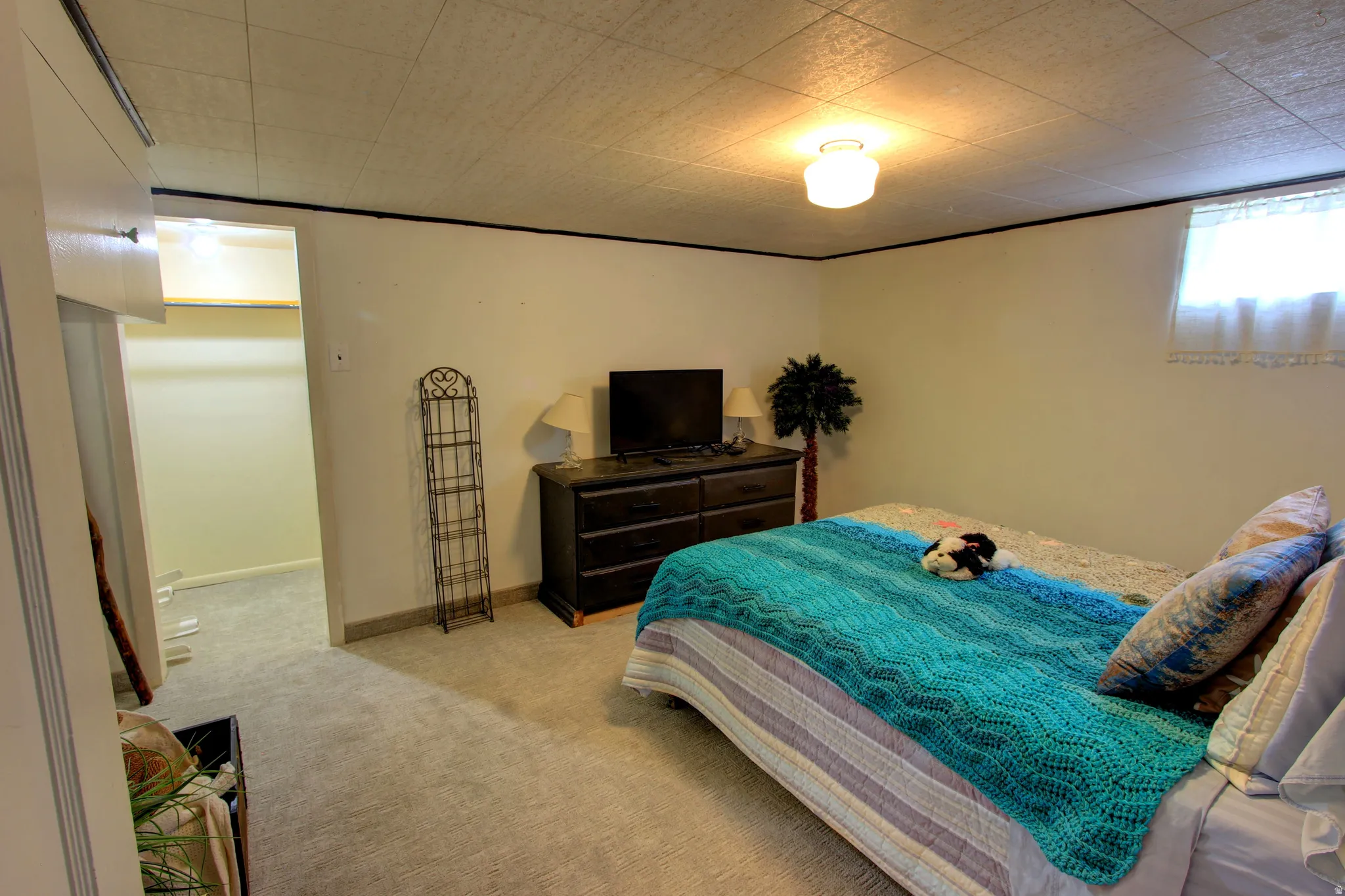 Carpeted room with a drop ceiling and recessed window