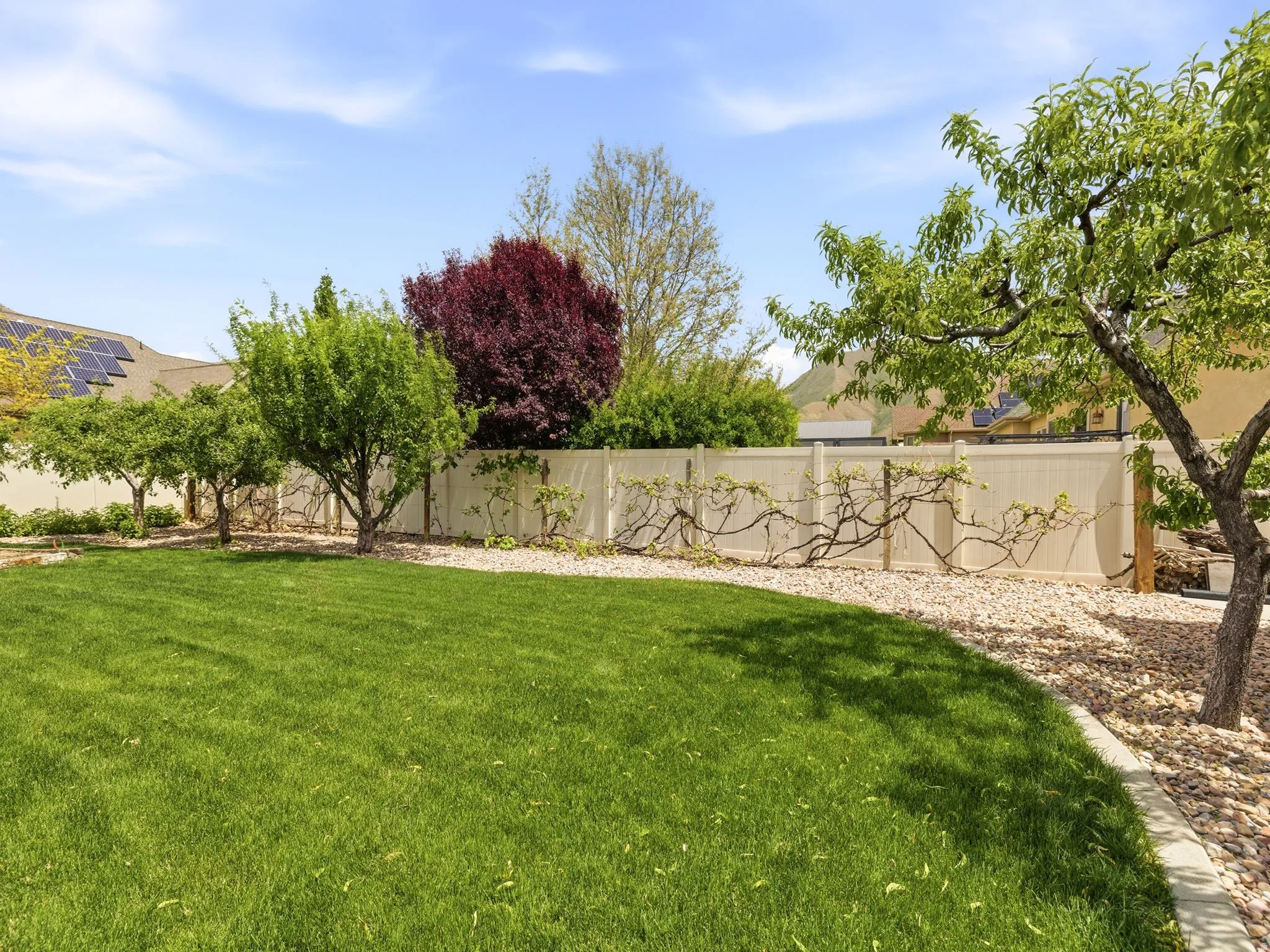 Expansive lawn area bordered by a gravel bed and a vinyl privacy fence