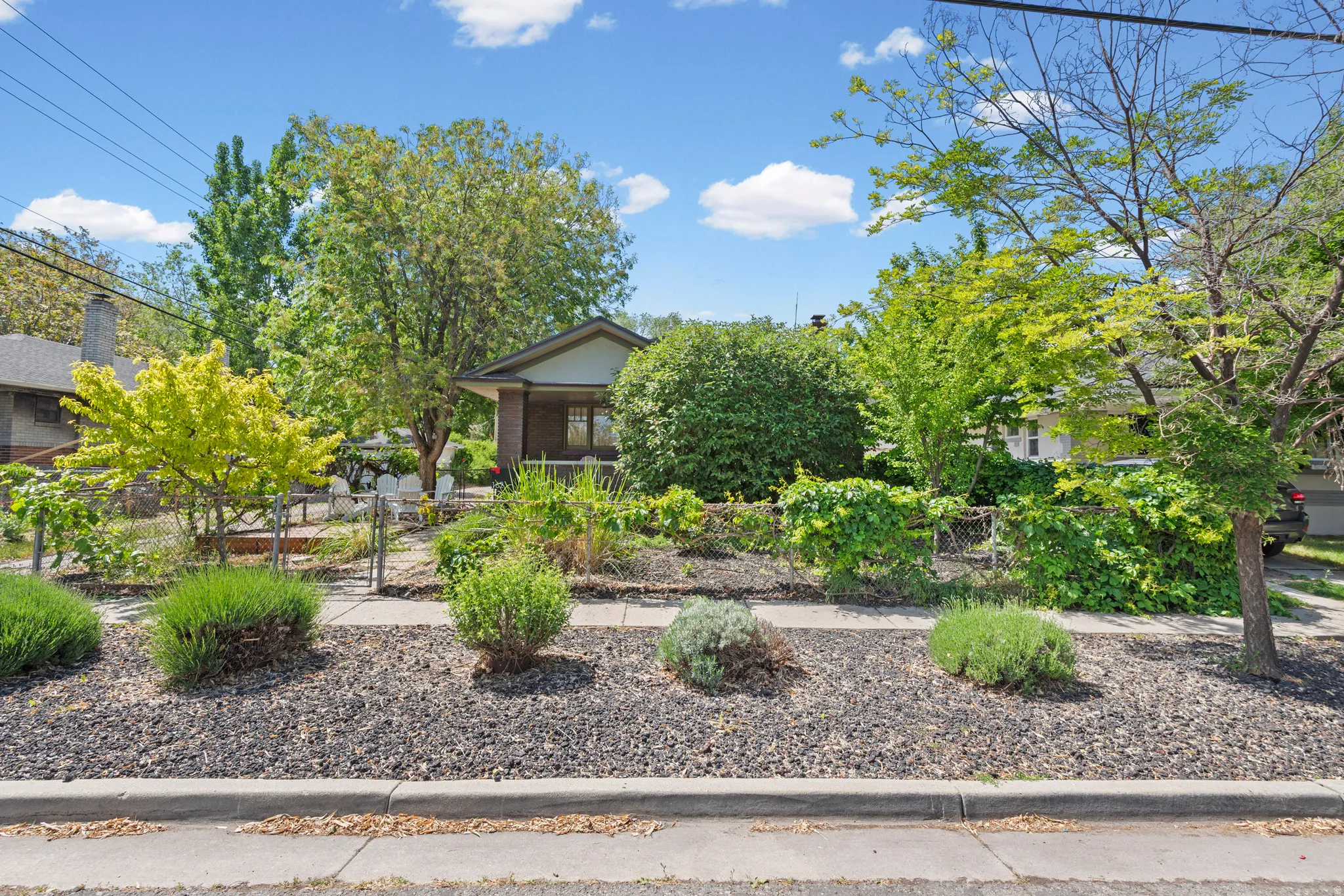 A lush green yard with easy maintenance and just enough privacy and shade