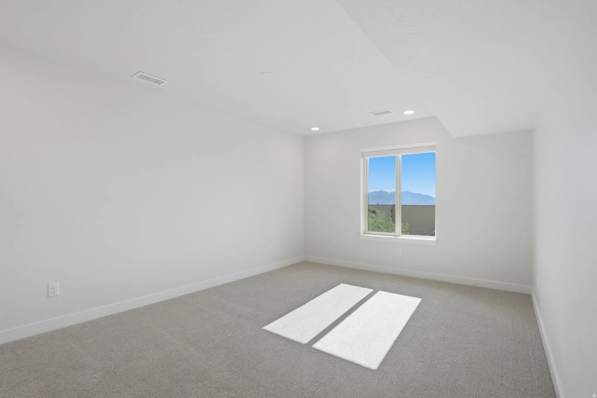 Spacious bedroom with carpet, lots of natural light, and a walk-in closet