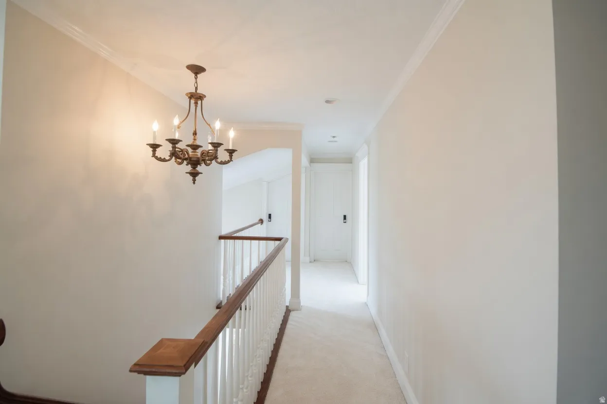 Carpeted hallway featuring a six-light chandelier, crown molding, and white painted walls