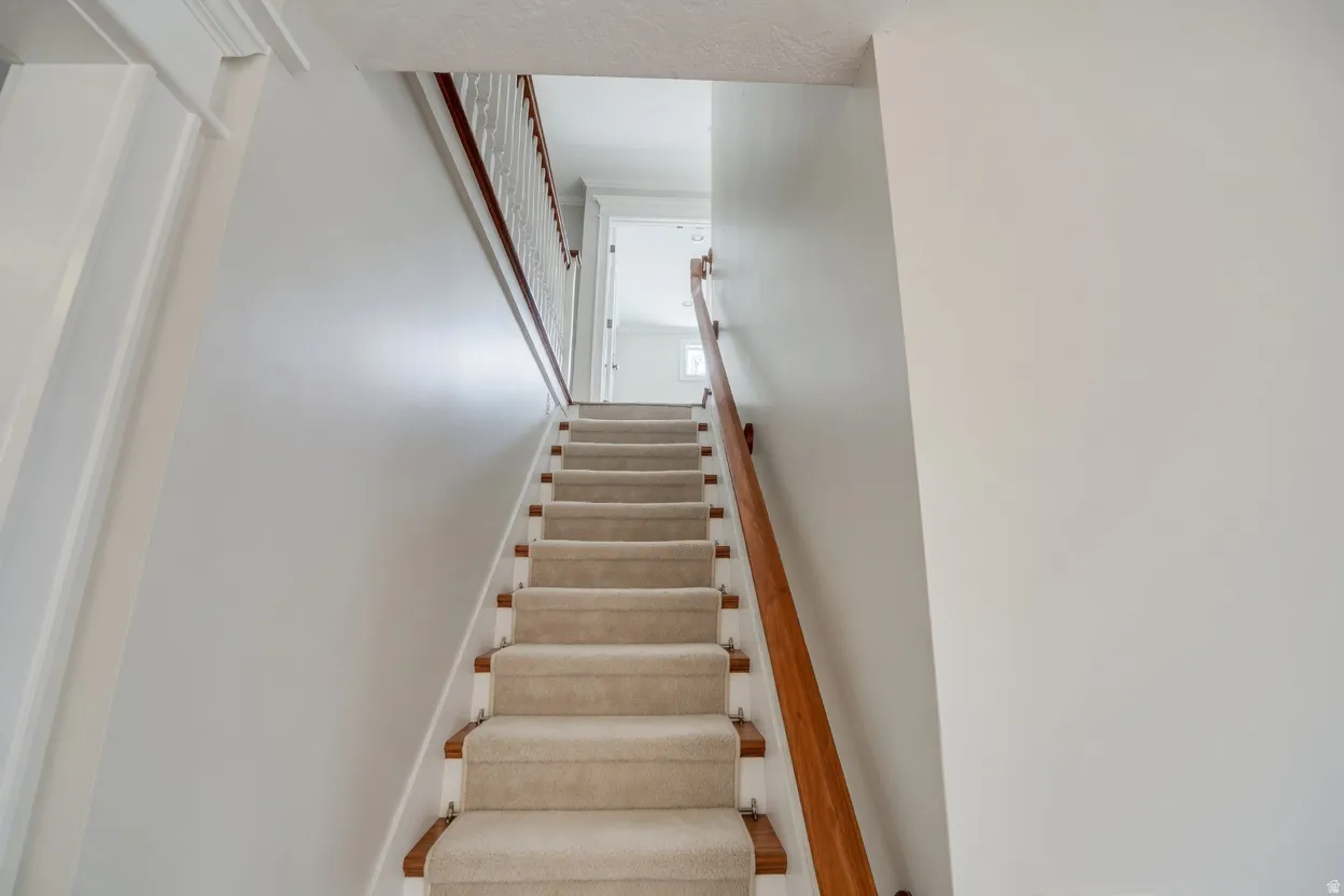 Carpeted staircase featuring wood-finish handrails and white balusters