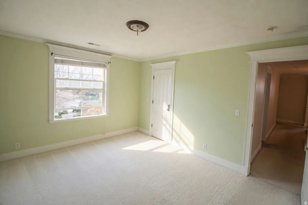 Bedroom 3 carpeted room with a double-hung window, light green walls, white baseboards, and white trim