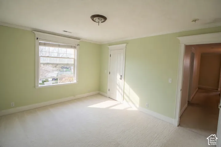 Bedroom 3 carpeted room with a double-hung window, light green walls, white baseboards, and white trim