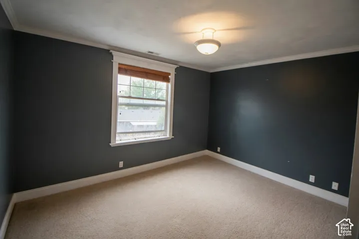 Bedroom 2 featuring dark gray walls, light beige carpet, white crown molding, and white baseboards