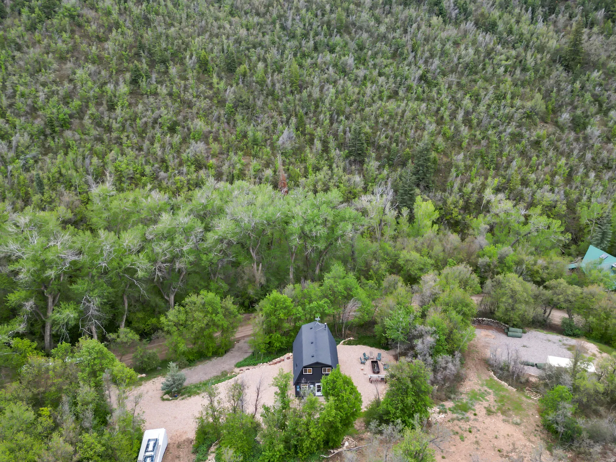 Black-clad residence featuring a gabled roof and surrounding trees