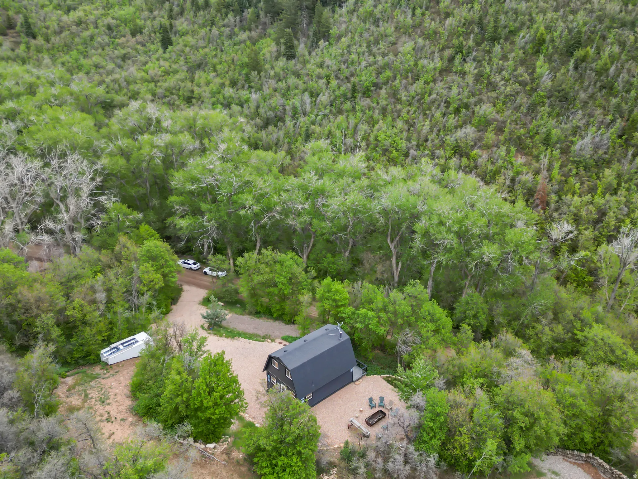 Modern cabin surrounded by dense woodland