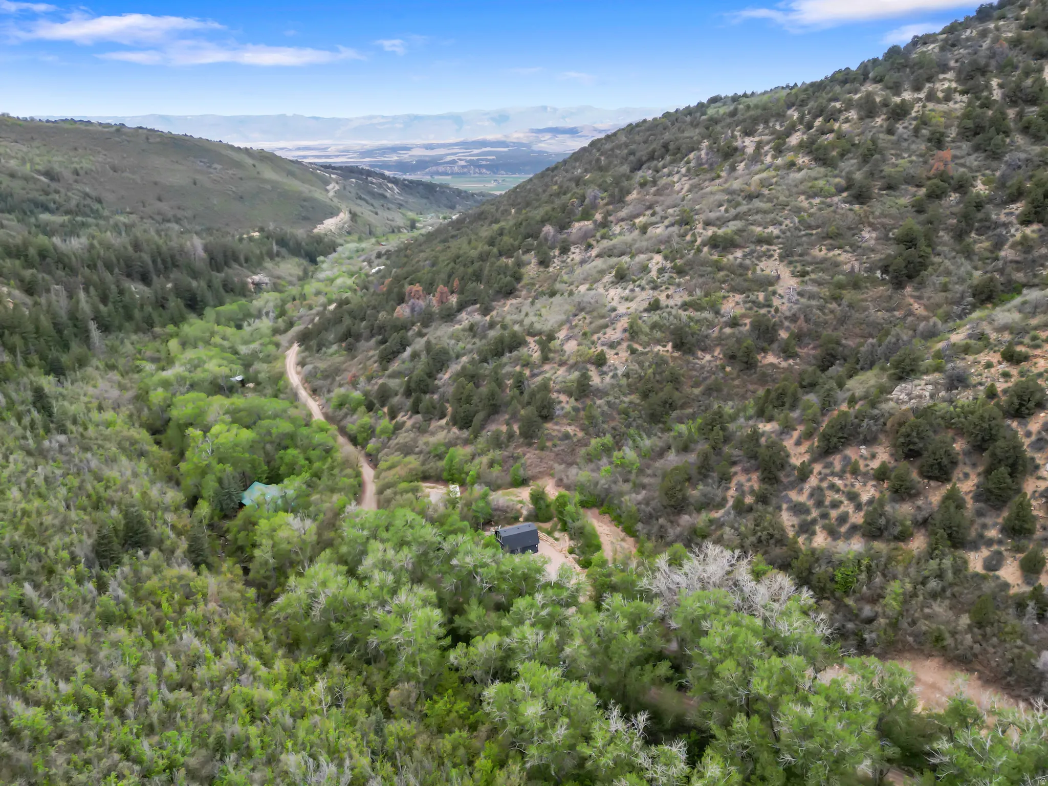 Expansive valley property featuring a winding dirt road, mature trees, and mountainous terrain