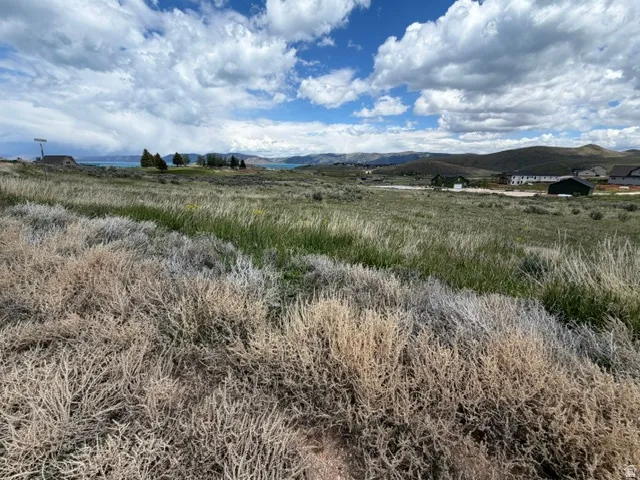Expansive undeveloped lot featuring natural prairie grasses and distant water views