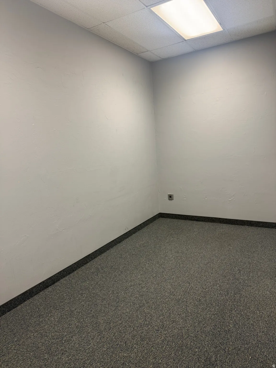 Neutral-toned interior room featuring light gray walls, speckled gray carpet, dark baseboards, and a white acoustical ceiling with integrated fluorescent lighting