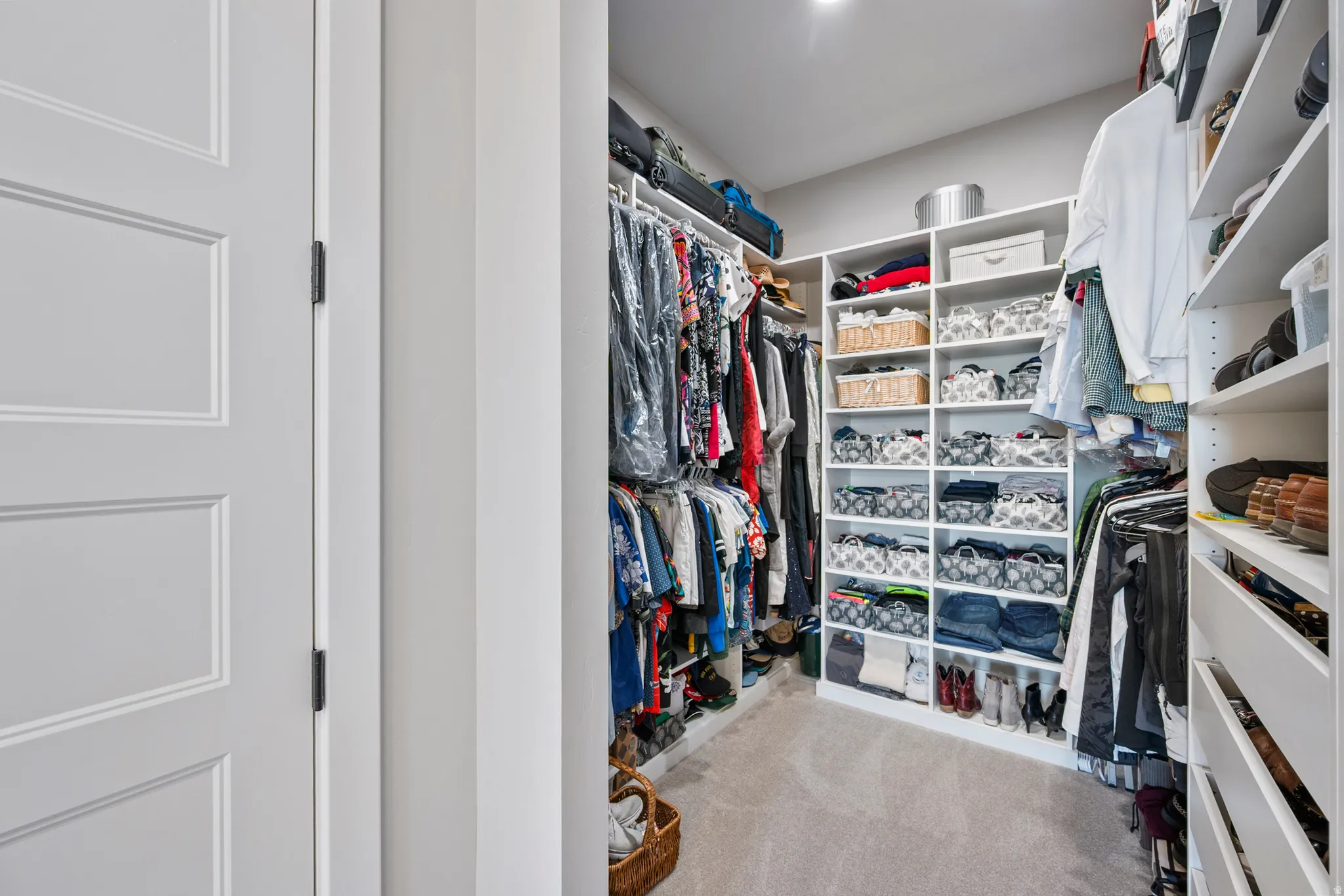 Walk-in closet featuring extensive built-in shelving, multiple hanging rods, recessed lighting, and carpet flooring