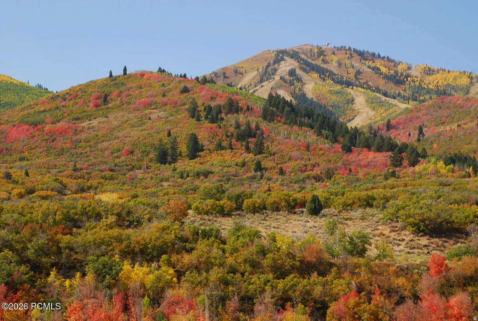 Autumn Colors in Deer valley Ski Resort