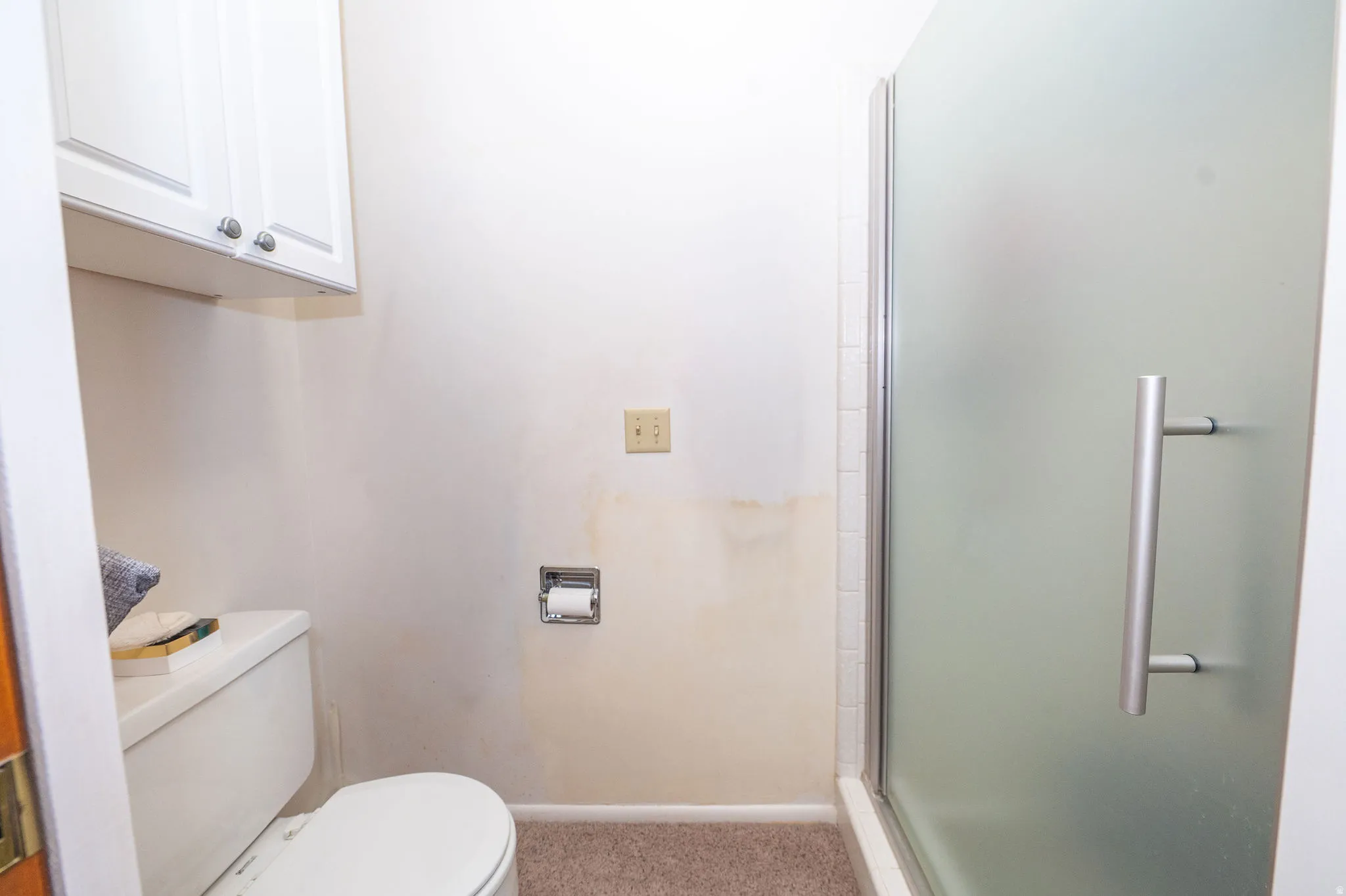 White cabinetry with silver hardware, standard toilet, frosted glass shower enclosure with a brushed metal handle, and carpeted flooring