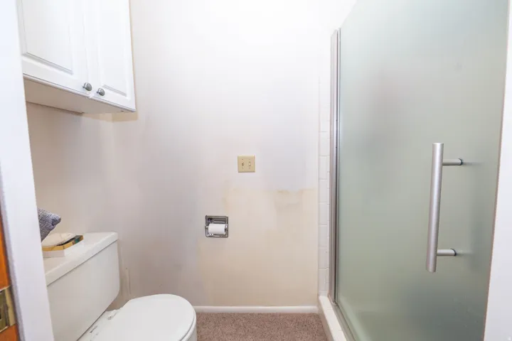 White cabinetry with silver hardware, standard toilet, frosted glass shower enclosure with a brushed metal handle, and carpeted flooring
