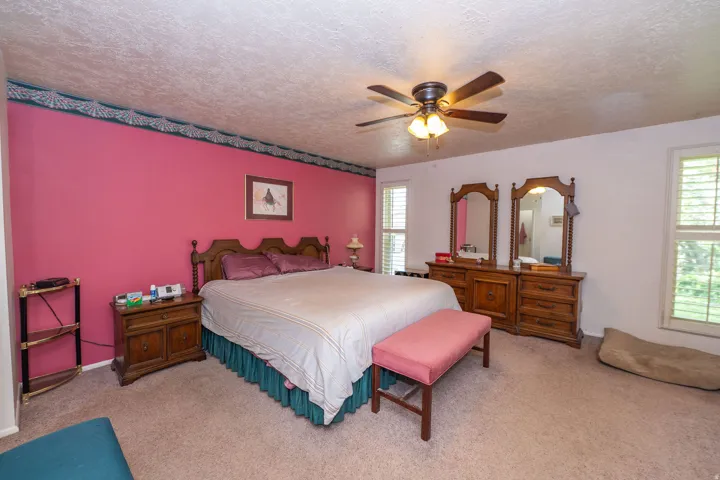 Spacious primary bedroom featuring neutral carpeting, a ceiling fan with integrated lighting, and two windows with louvered shutters