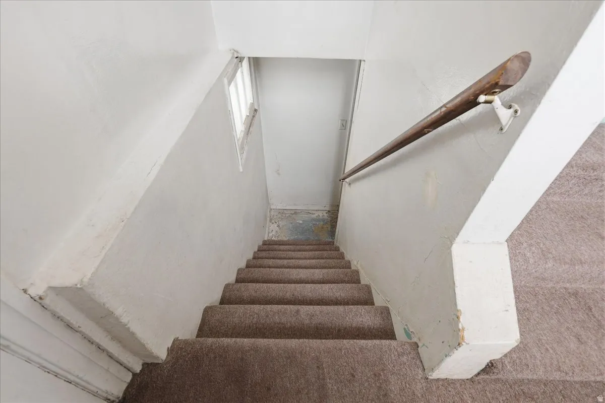 Stairwell featuring carpeted steps, a wood handrail, and a window providing natural light