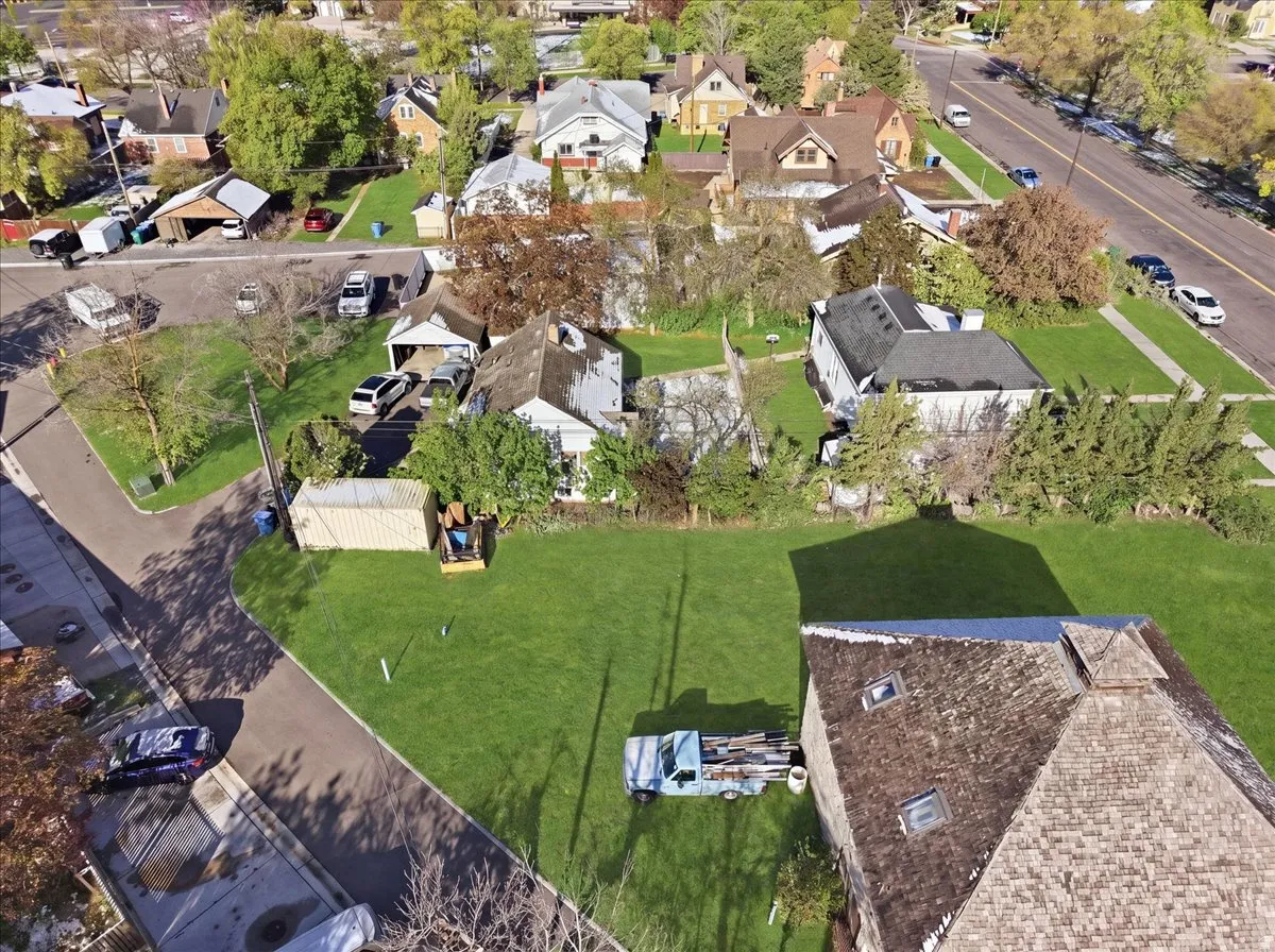 Expansive green lawn parcel featuring a mature tree line and street access