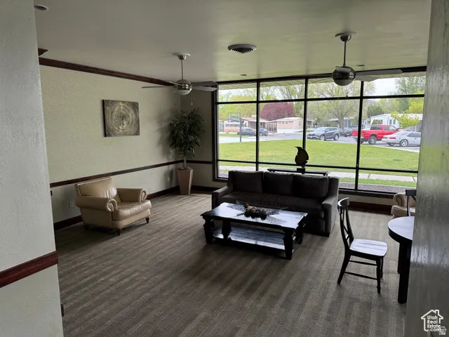 Spacious room featuring extensive window framing, ceiling fans, and textured wall finishes with dark wood trim