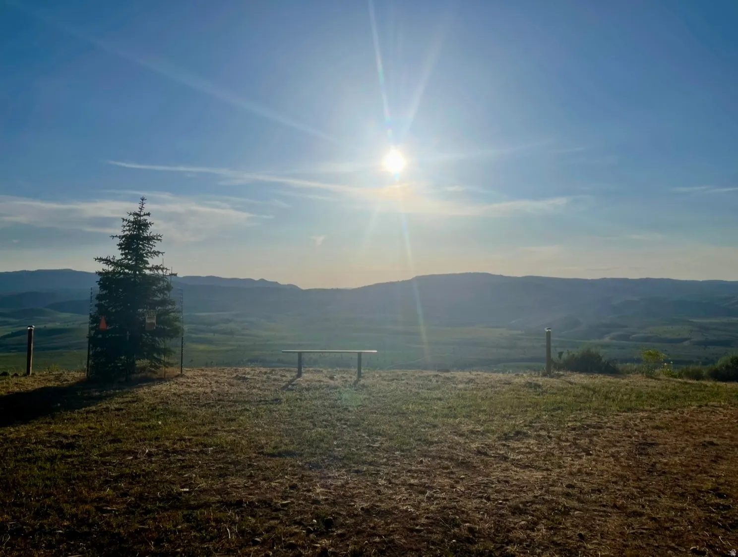 Expansive outdoor space featuring a single evergreen tree, a wooden bench, and distant rolling hills