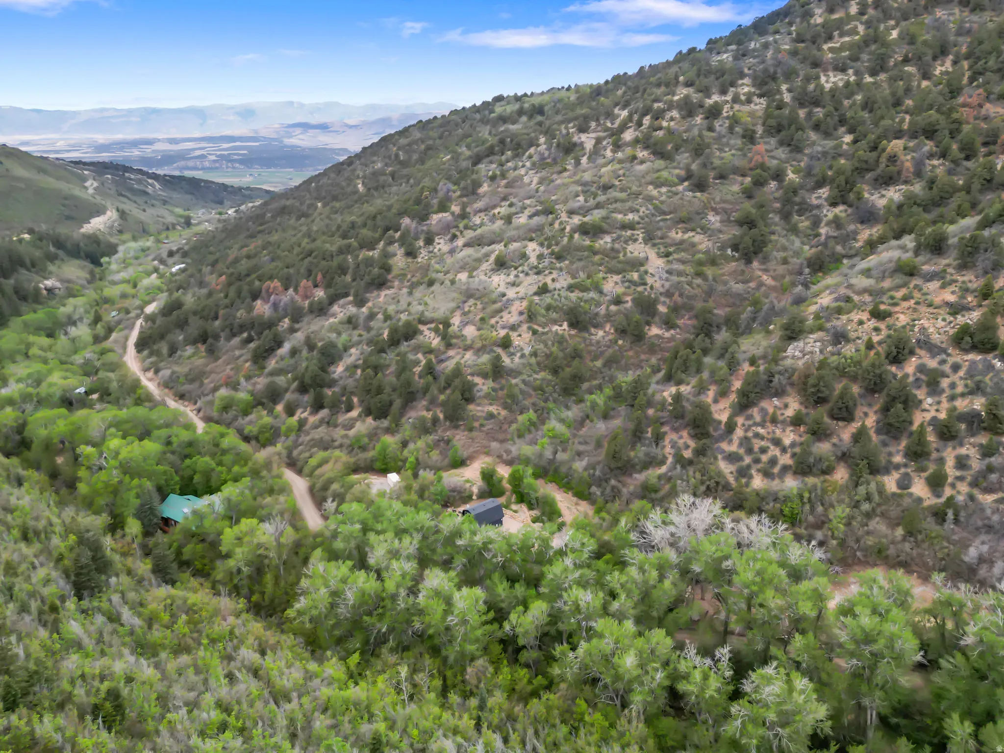 Mountainous terrain featuring diverse tree coverage and a valley with a winding path