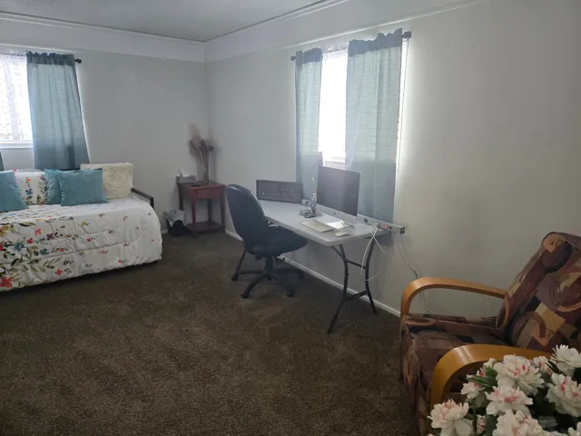 Carpeted room with multiple windows providing natural light
