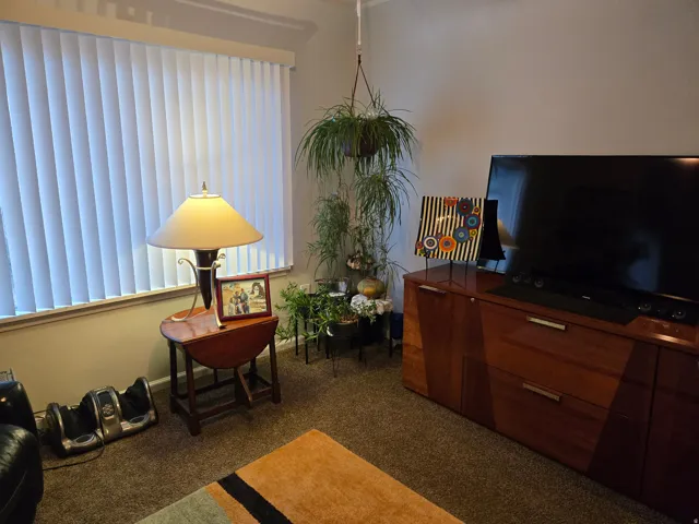 Wall-to-wall carpeting in a neutral tone