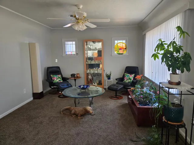 Carpeted living space with a ceiling fan, dual square windows, and a rectangular window with vertical blinds