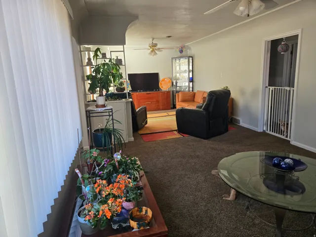 Carpeted living area featuring a ceiling fan, vertical blinds, and a built-in room divider