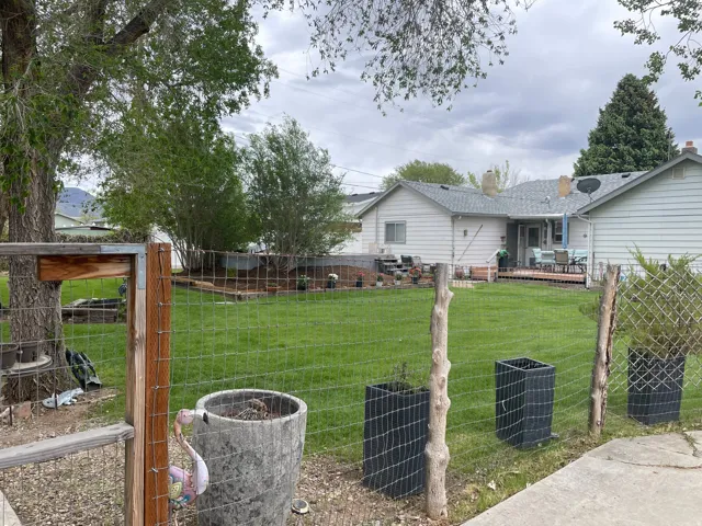 Expansive backyard featuring a manicured lawn, established perimeter trees, and a wooden deck