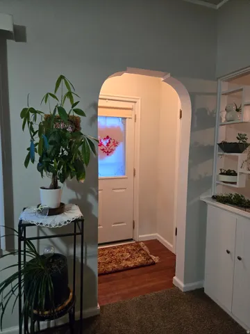 Archway entry featuring wood-finish flooring