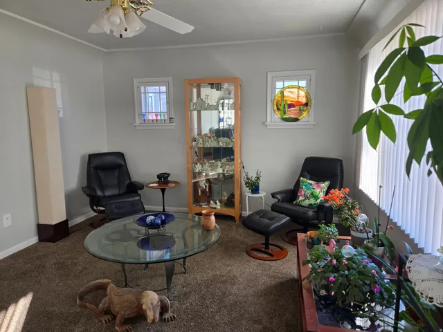 Carpeted room featuring light gray walls, a ceiling fan with integrated lighting, and two windows