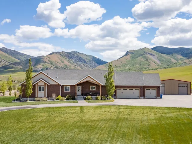 Expansive front lawn with a paved circular driveway