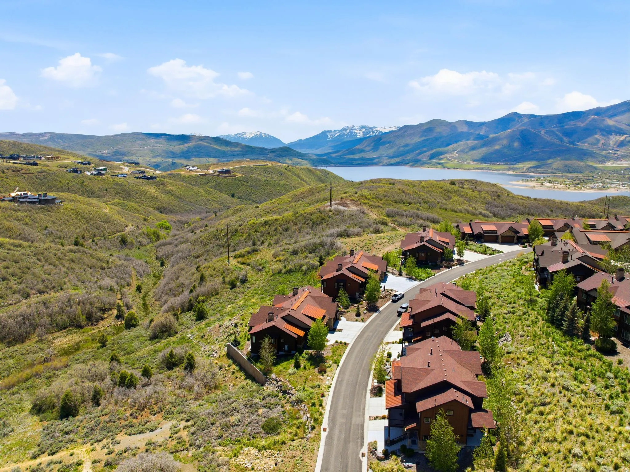 Residential development with homes featuring brown roofing and dark exteriors, situated on a winding paved road