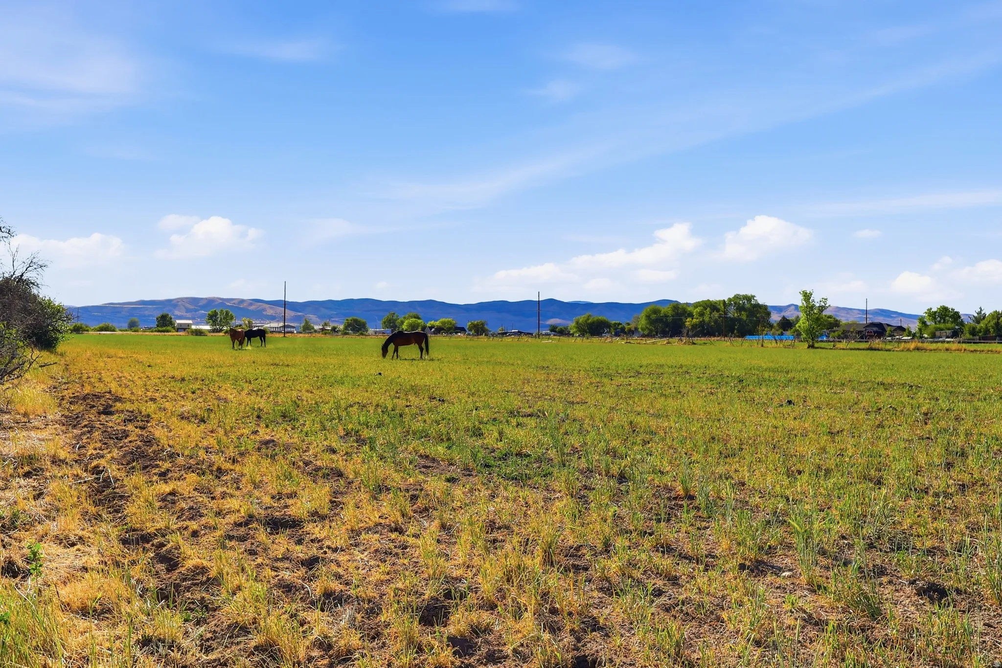 Expansive agricultural land featuring a mix of green and golden fields, distant mountain ranges, and a bright blue sky