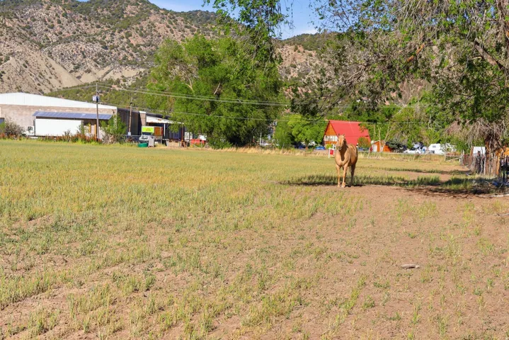 Expansive open field with partial grass cover, surrounded by mature trees, with a mountain backdrop