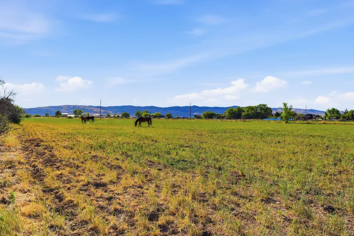 Expansive agricultural land featuring a mix of green and golden fields, distant mountain ranges, and a bright blue sky
