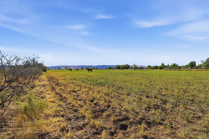 Expansive green field with natural border landscaping