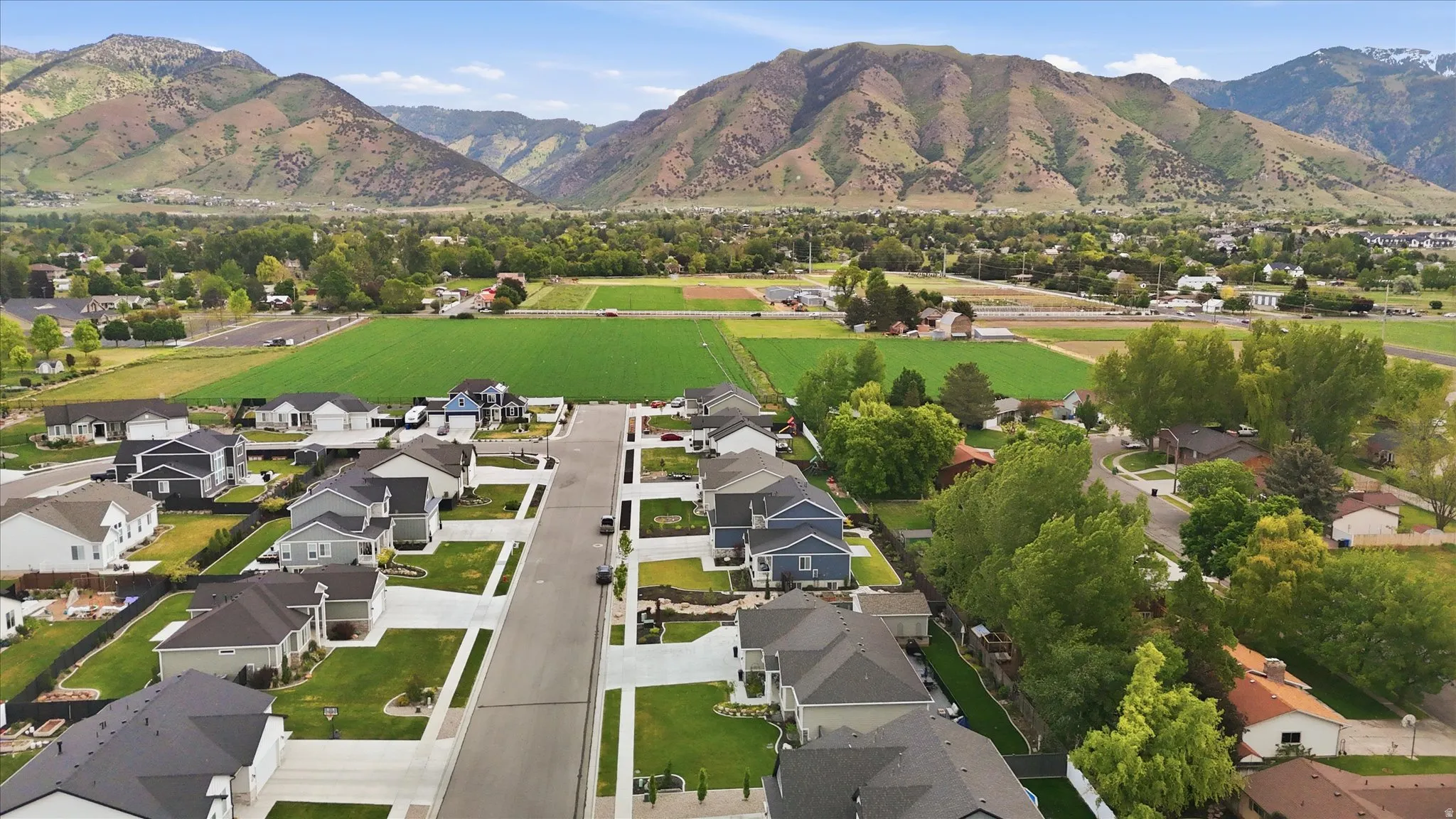 New construction homes featuring modern exteriors and manicured lawns