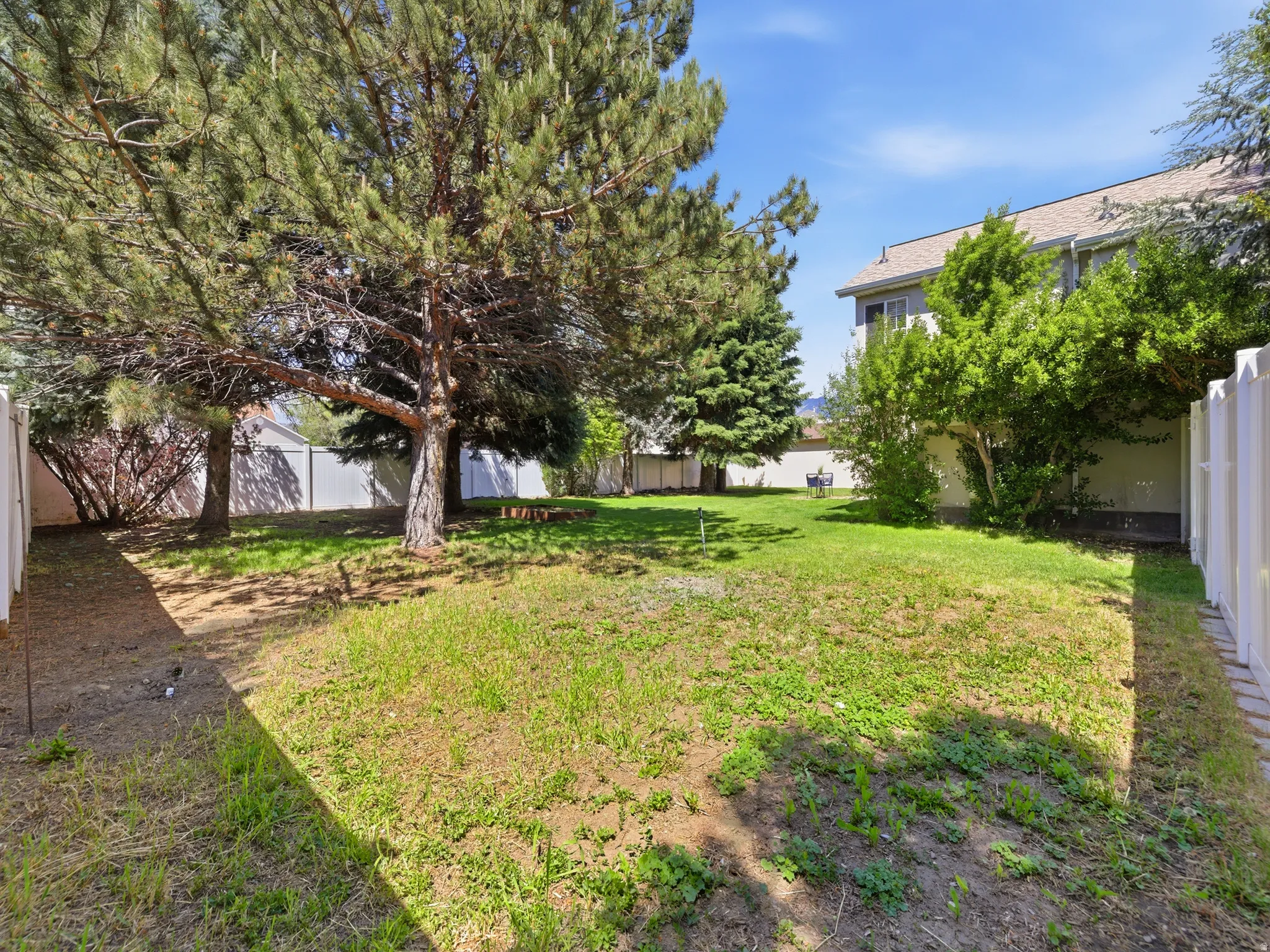 Expansive fenced yard featuring mature trees and a substantial grassy area