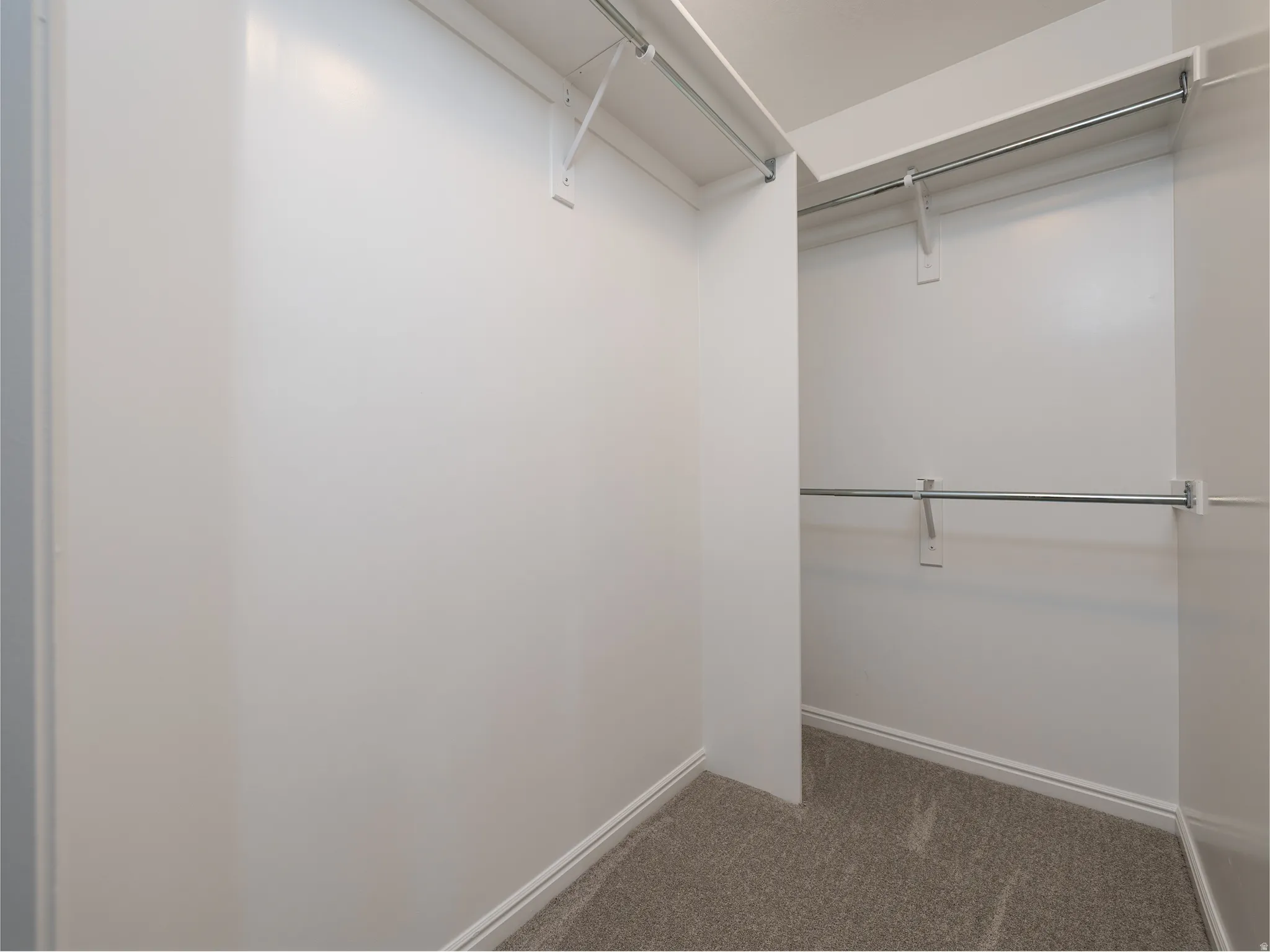 Walk-in closet featuring light gray carpeting, white walls, and built-in chrome hanging rods