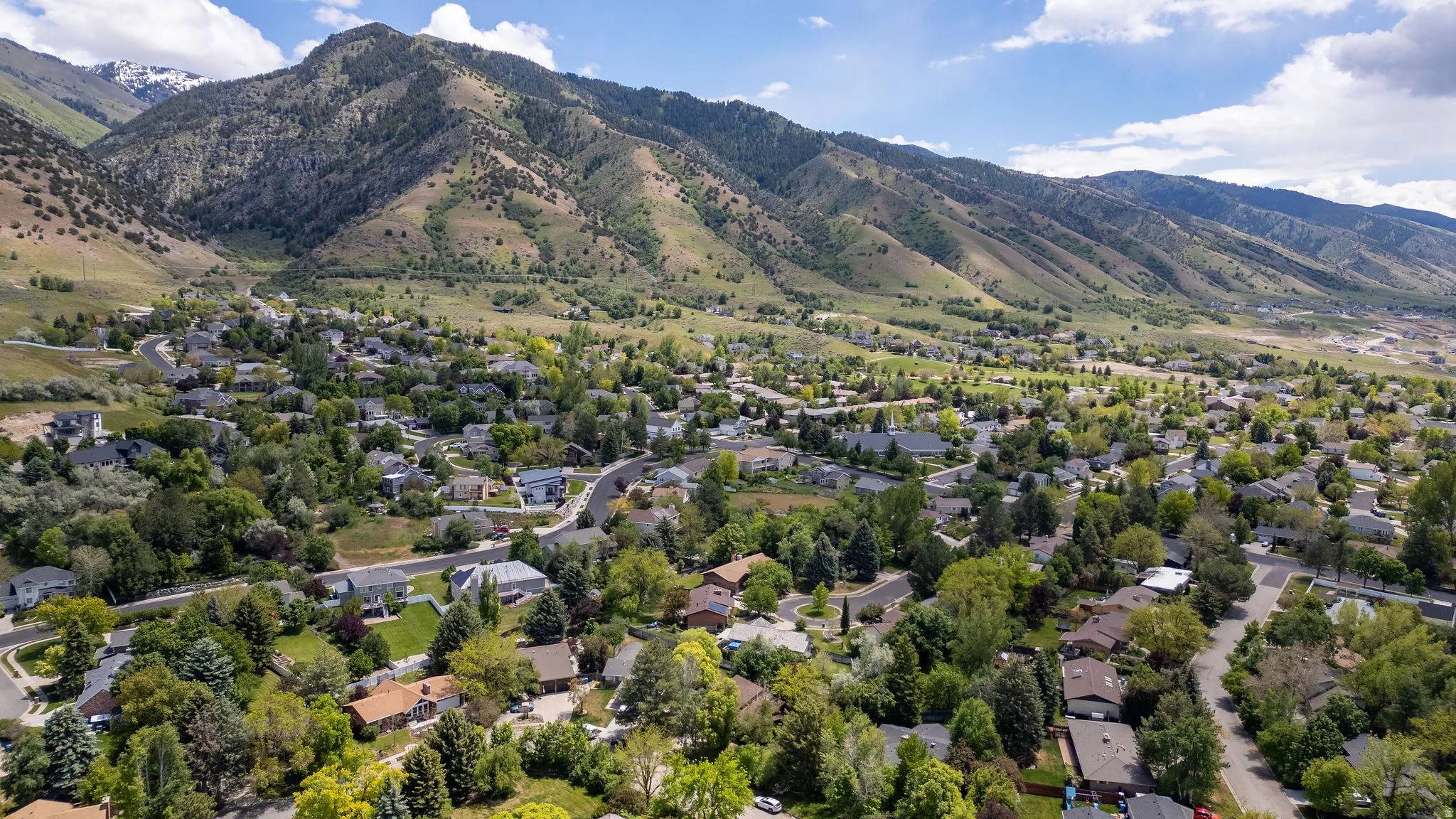 Expansive residential area featuring numerous homes nestled among abundant mature trees, with a prominent mountain range forming a dramatic backdrop