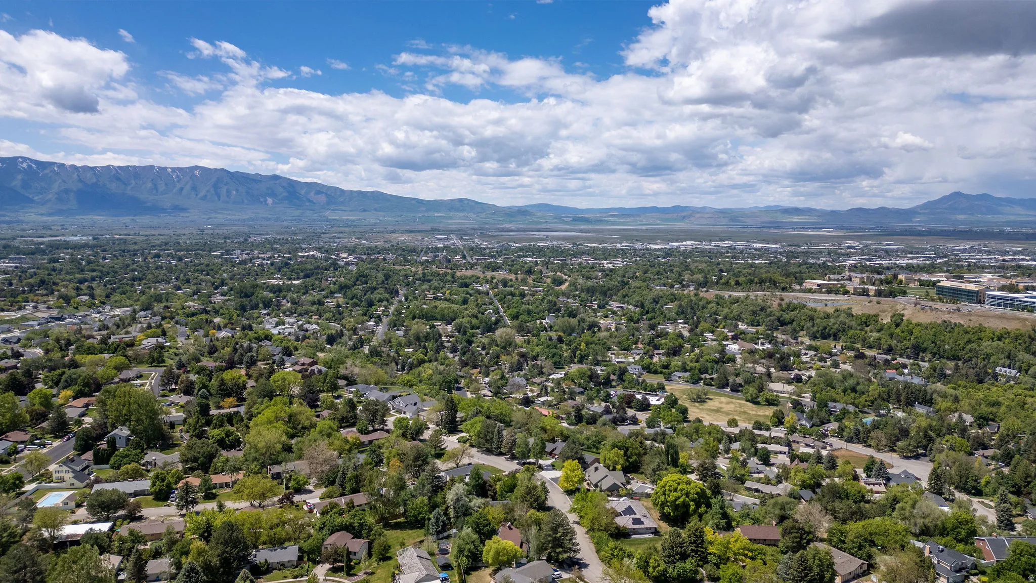 Expansive aerial perspective showcasing a verdant residential area with mature tree canopies