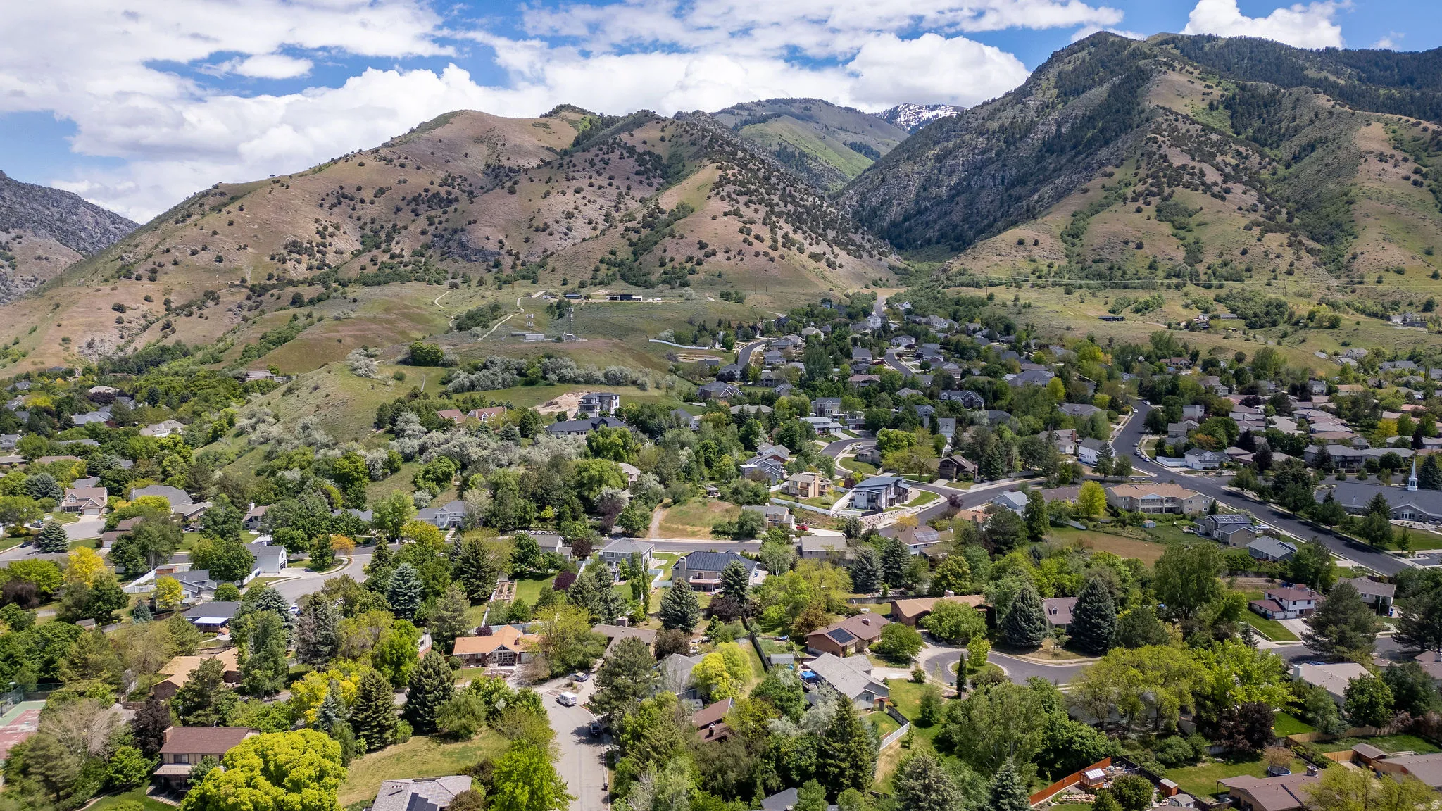 Lush residential area nestled at the base of expansive, tree-covered mountains