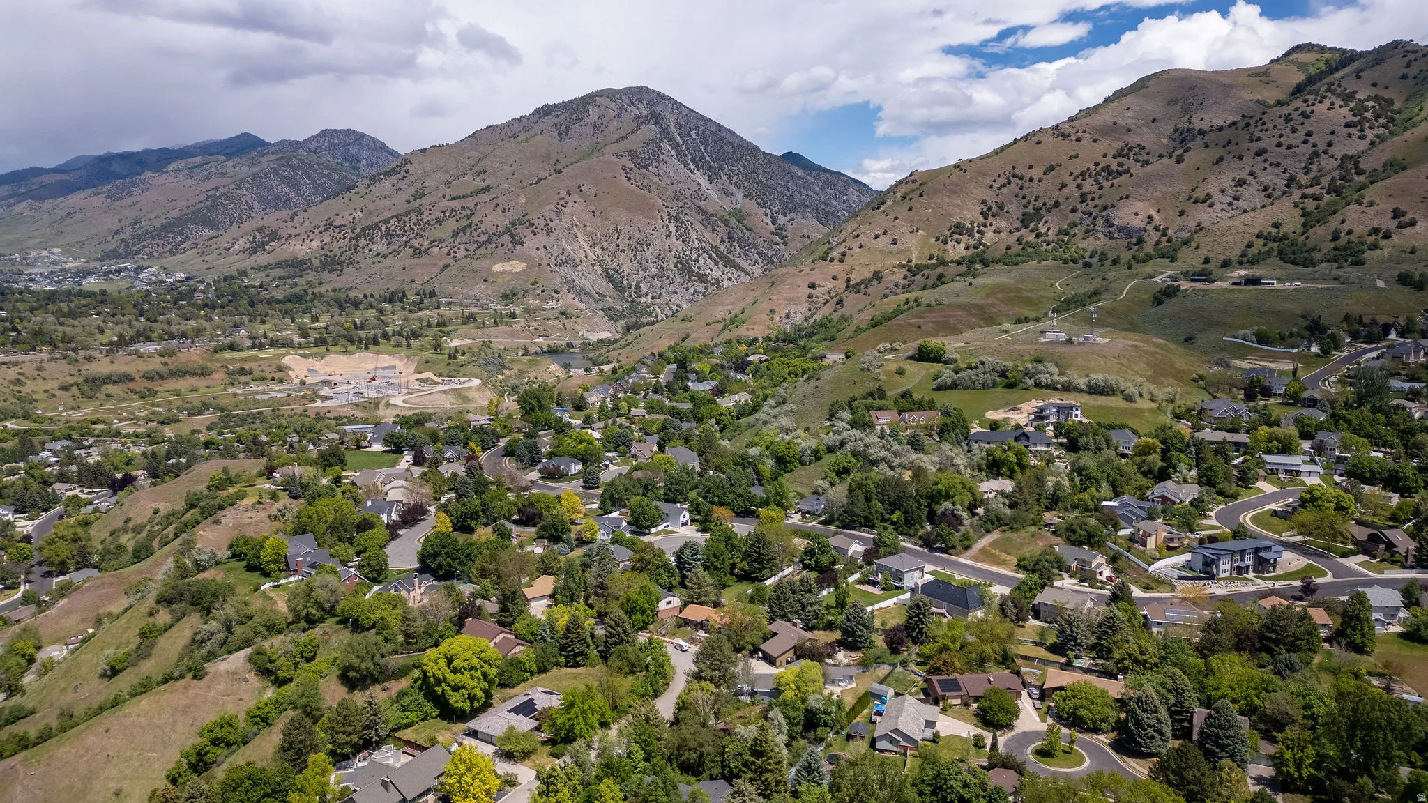 Expansive residential area featuring established homes, abundant mature trees, and mountainous terrain