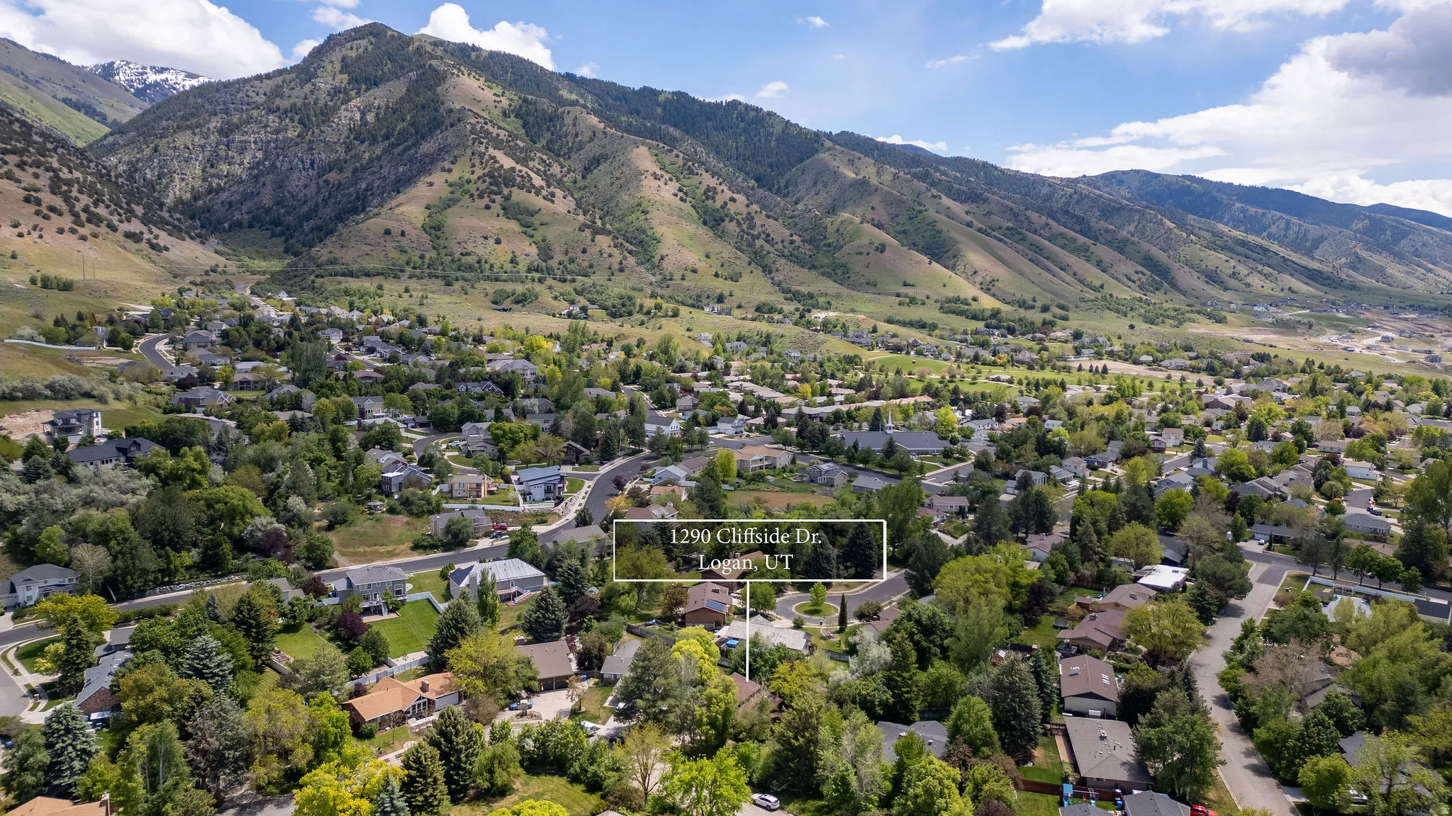 Elevated aerial perspective showcasing a residential neighborhood with varied architectural styles, established tree canopy, and mountainous terrain