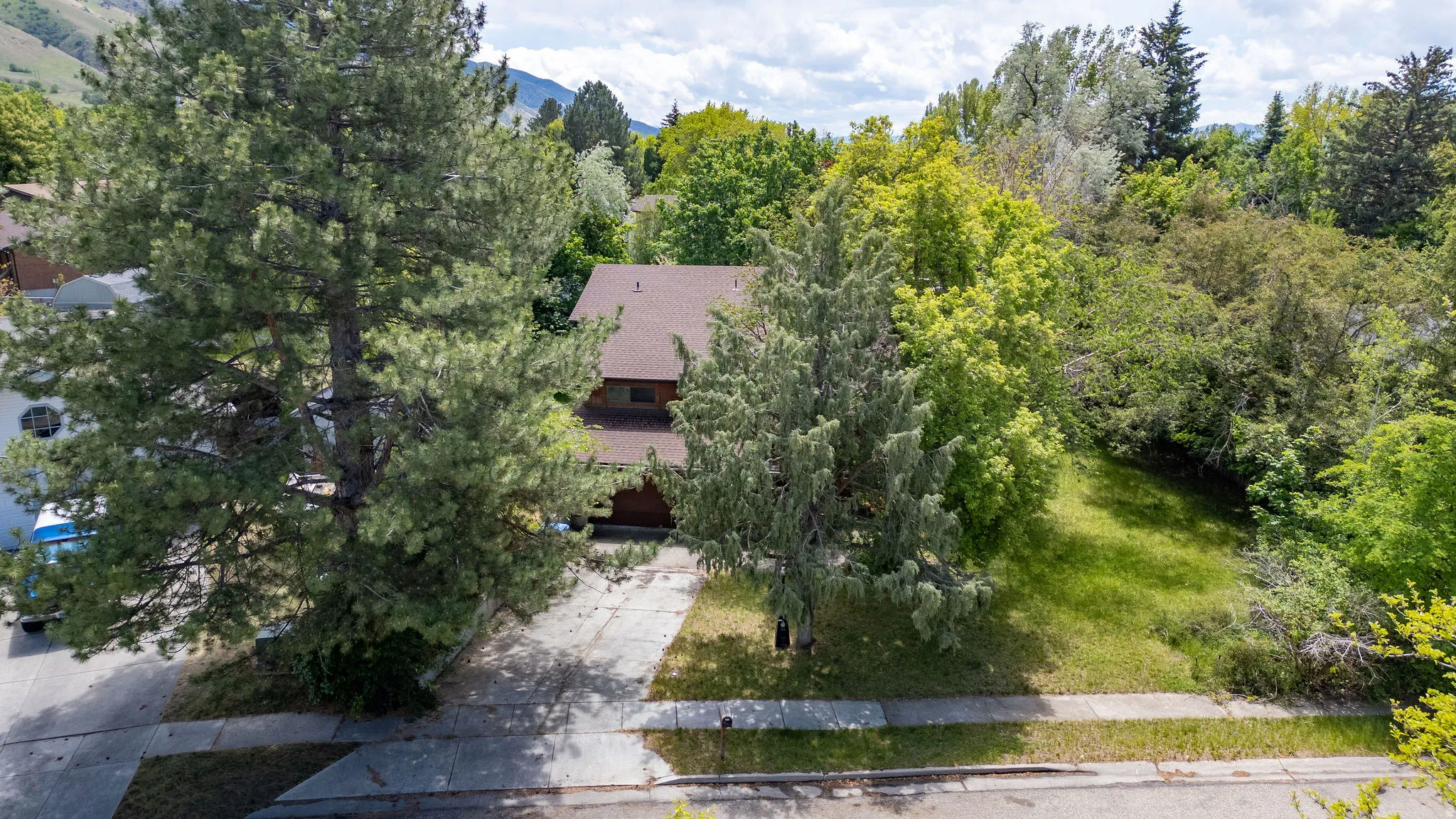 Property featuring a brown shingle roof, concrete driveway, and mature landscaping