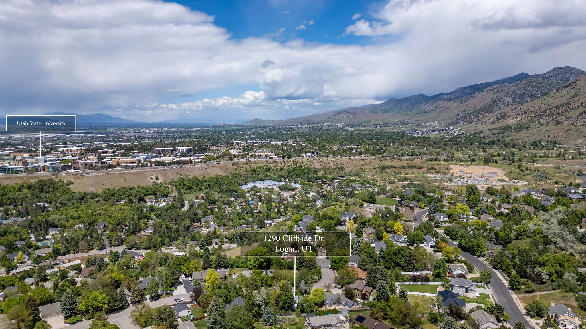 Aerial perspective of a verdant residential area featuring mature trees and established homes
