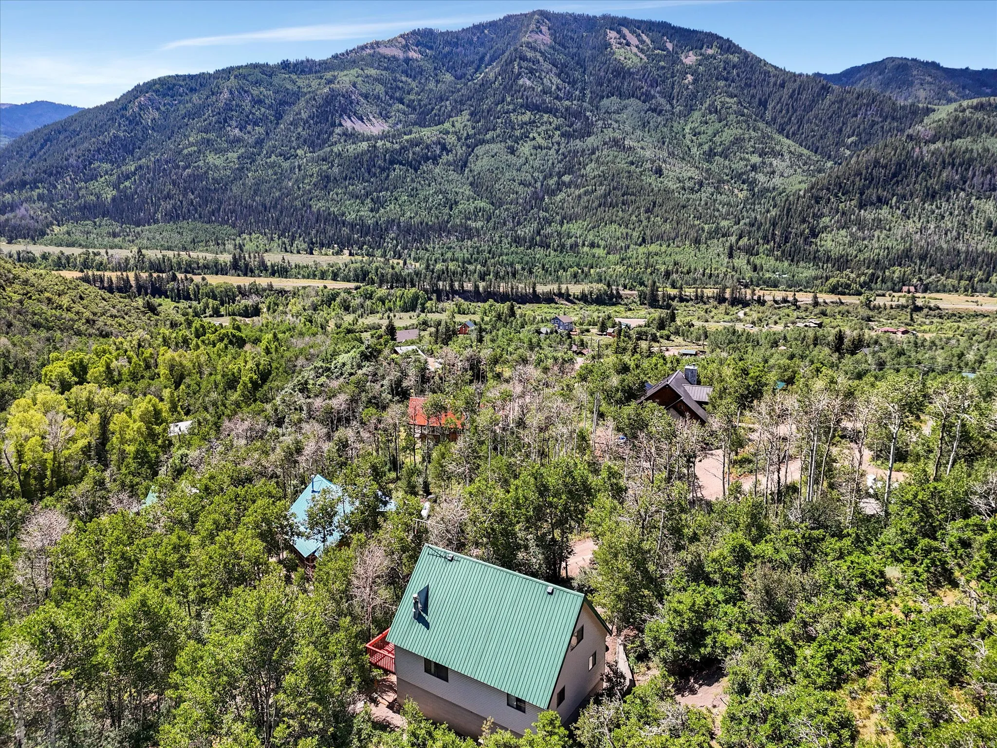 Green metal roof dwelling nestled among dense trees