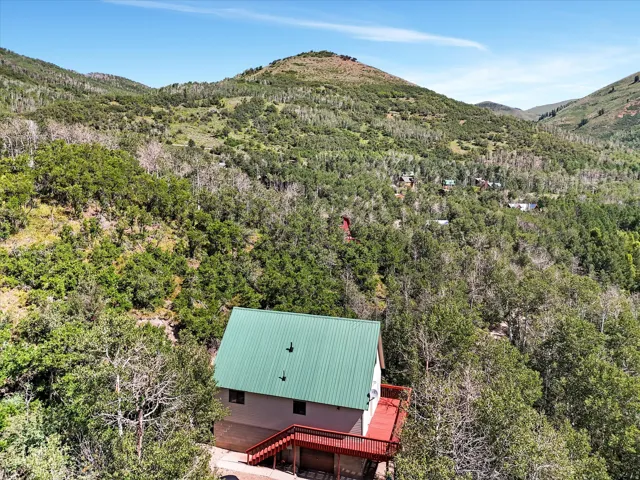Hillside residence with a green metal roof, a full-width deck, and an extensive surrounding tree canopy